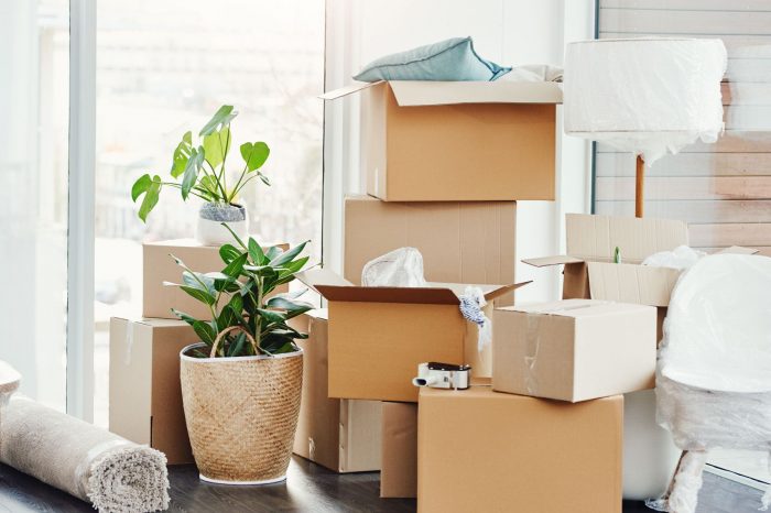 it-s-moving-day-1147468408-b8e4774159024bbdad1e9fd7f814ea43