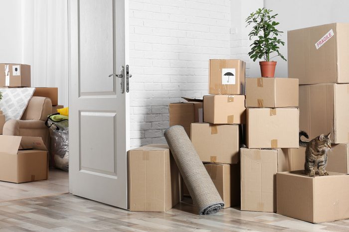 luxury-pet-friendly-apartments-bossier-city